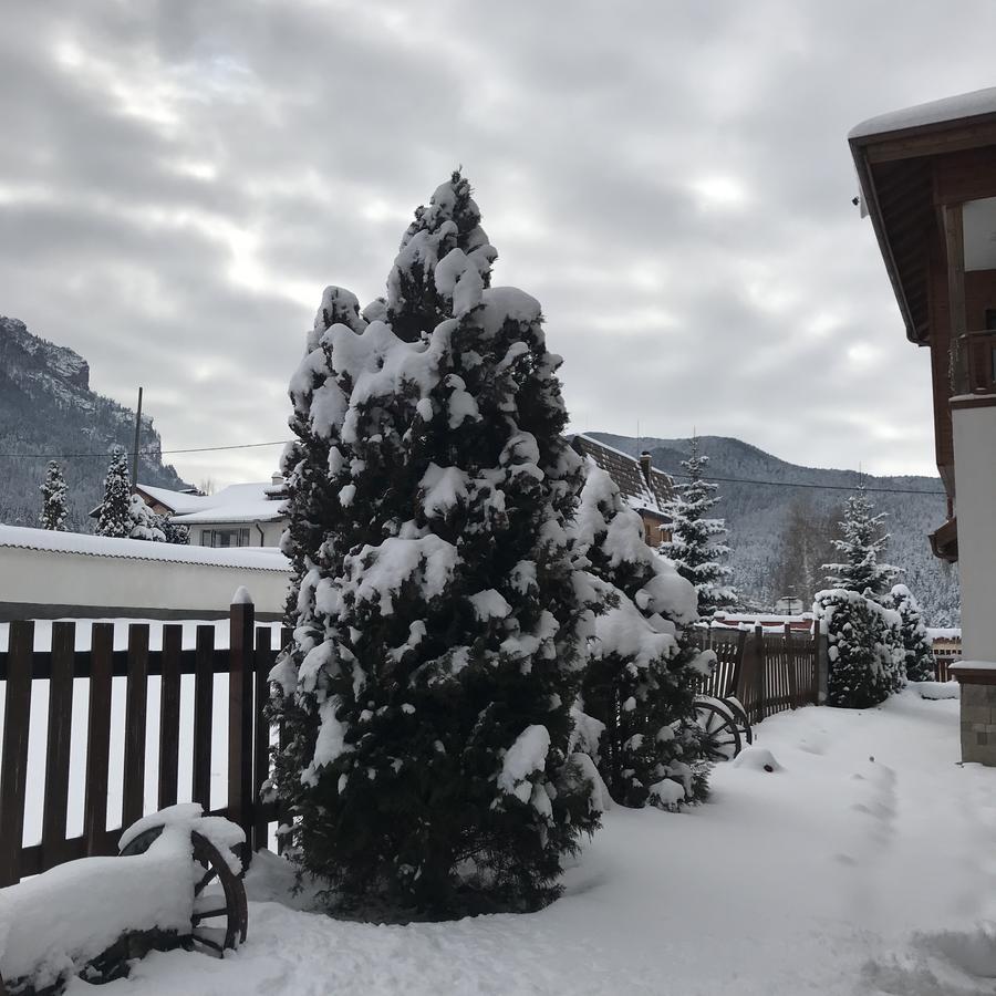 Boutique Hotel The White Pine Samokov Luaran gambar